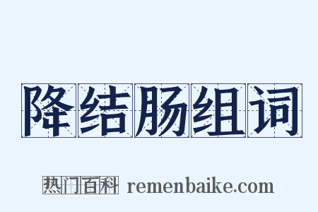 降结肠组词是什么意思的图片